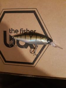 Lures Lucky John SHAD 80X 