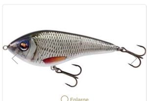 Lures Westin Swim real roach 12 Cm S