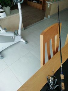 Rods Garbolino canne truite