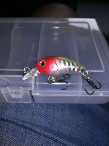 Lures null crank Ali 