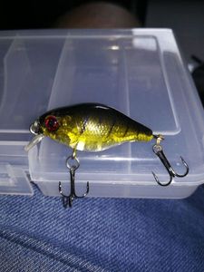 Lures null crank Ali 5 