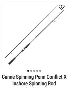 Rods Penn Conflict X spinning rod 3m