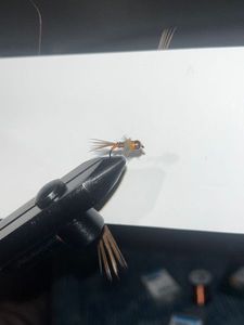 Flies Matt nymphe Nymphe