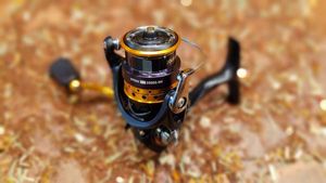 Reels Daiwa Daiwa iPrimi LT 2000S-XH