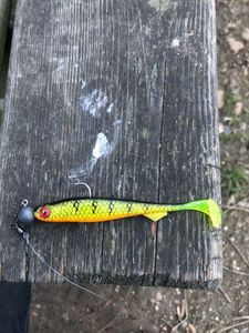 Lures Fox Rage Leurre souple slick shad
