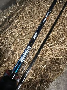 Rods Sakura Sakura rookie xp