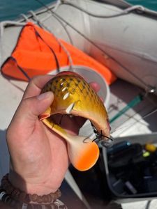 Lures Savage Gear Herring shad 25