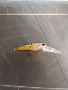 Lures Caperlan leurre dur