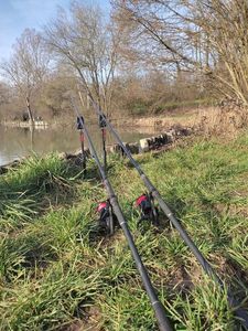 Rods Fox Fox warrior xt 2,75lbs 12"