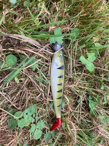 Lures null Leurre souple TP 10g