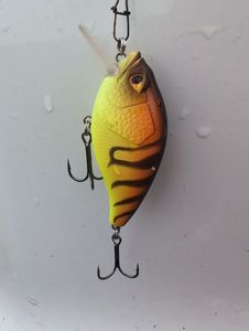 Lures Caperlan Crank caperlan
