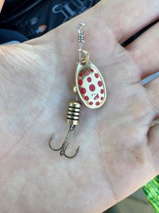 Lures Caperlan Cuiller Weta + #1 Or points rouges