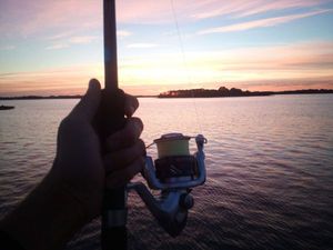 Rods null Hotrod nrv 225 overboost
