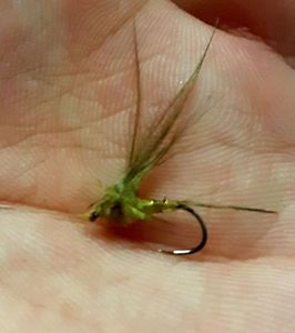 Flies null stv Flies null stv