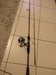 Rods Daiwa Crossfire cf702mfs