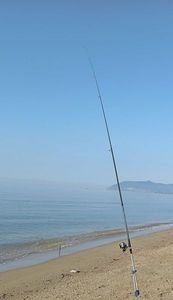 Rods Persicus Atomic 180