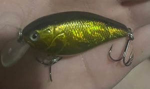 Lures Mako Archiga