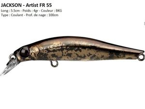 Lures Jackson ARTIST FR 55 (BKG)