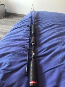 Rods Berkley Canne Medium Pulse Evo 7-30 g