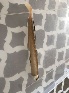 Lures null Worm Monté 14cm 15g Vert Brun Texas