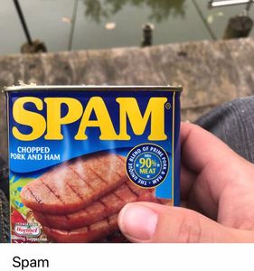 Baits & Additives Spam Spam