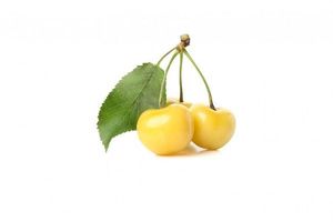 Baits & Additives null Tout petit fruit