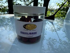 Baits & Additives Carp Food Concept Dumbel équilibré Indian