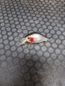Lures null Crank bait 