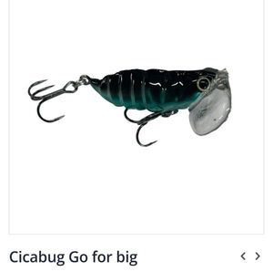 Lures Go For Big Cicabug