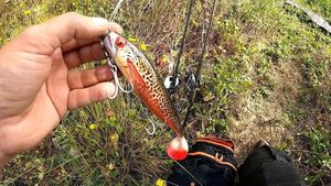 Lures Fox Rage Pro Shad Natural Classic ll - 18Cm