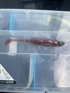 Lures Reins Rockvibe fat 4´´