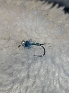 Flies null La perdi bleue 