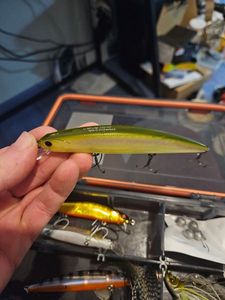 Lures O.S.P Varuna 110 sf