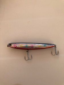 Lures Bearking Walking Dog
