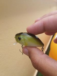 Lures Duo duo rush60