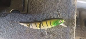 Lures null A