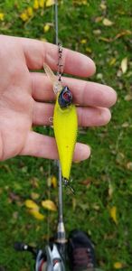 Lures null Crank jaune tête noire 