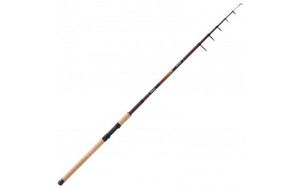 Rods Balzer Cannes balzer euphoria