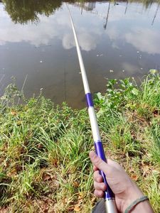 Rods sougayilang sougayiloang 6,3 m