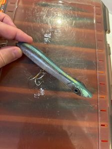 Lures Ultimate Fishing Patchinko 125 lieu ?