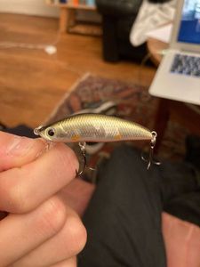 Lures Tiemco Sumari 50FS