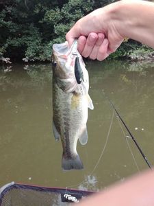 Lures A.B crank