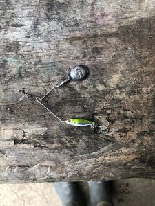 Lures Daiwa Spinner truite 