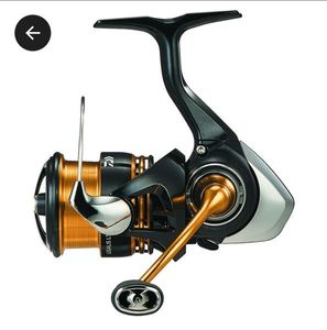 Reels Daiwa Legalis LT 2023 2000 SXH
