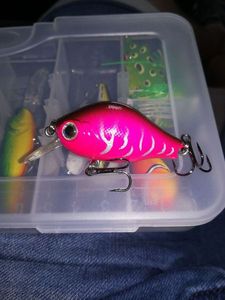 Lures null crank Ali 3