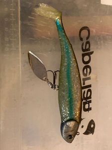 Lures Illex Nitro 150 spanish shiner et palette