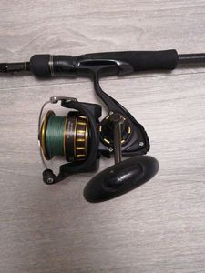 Reels Daiwa Moulinet