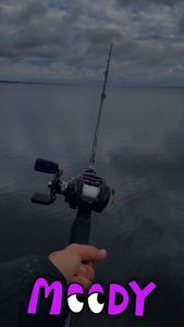 Rods Abu Garcia Abu garcia