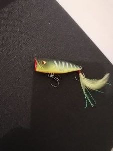 Lures Caperlan Popper WXM 50 PPR F