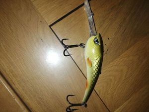 Lures Mad Cat crankbait longue bavette